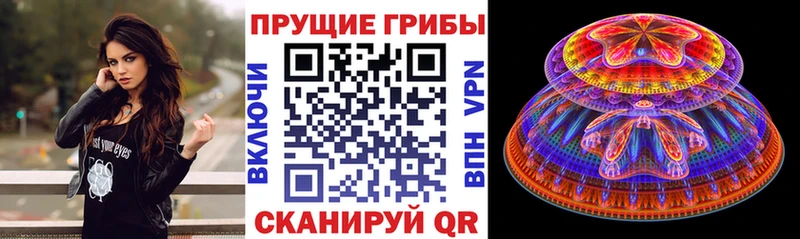 Галлюциногенные грибы мухоморы  omg ССЫЛКА  Пойковский  цена  